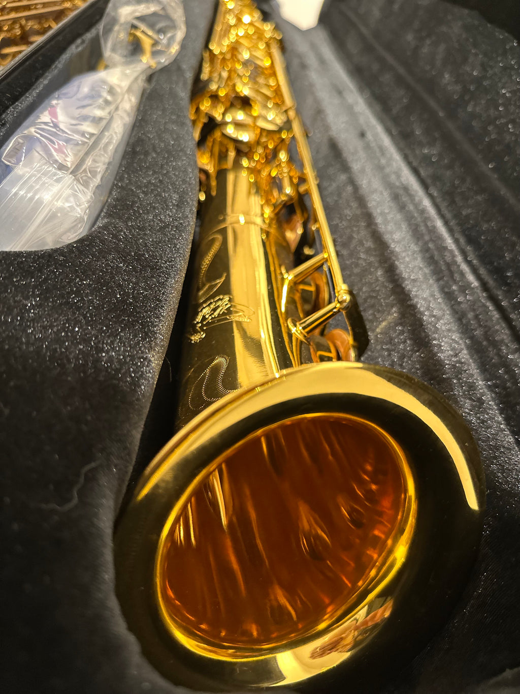 SHORE SAX Flight Case: Straight Alto Saxophone (LR SPECIAL)