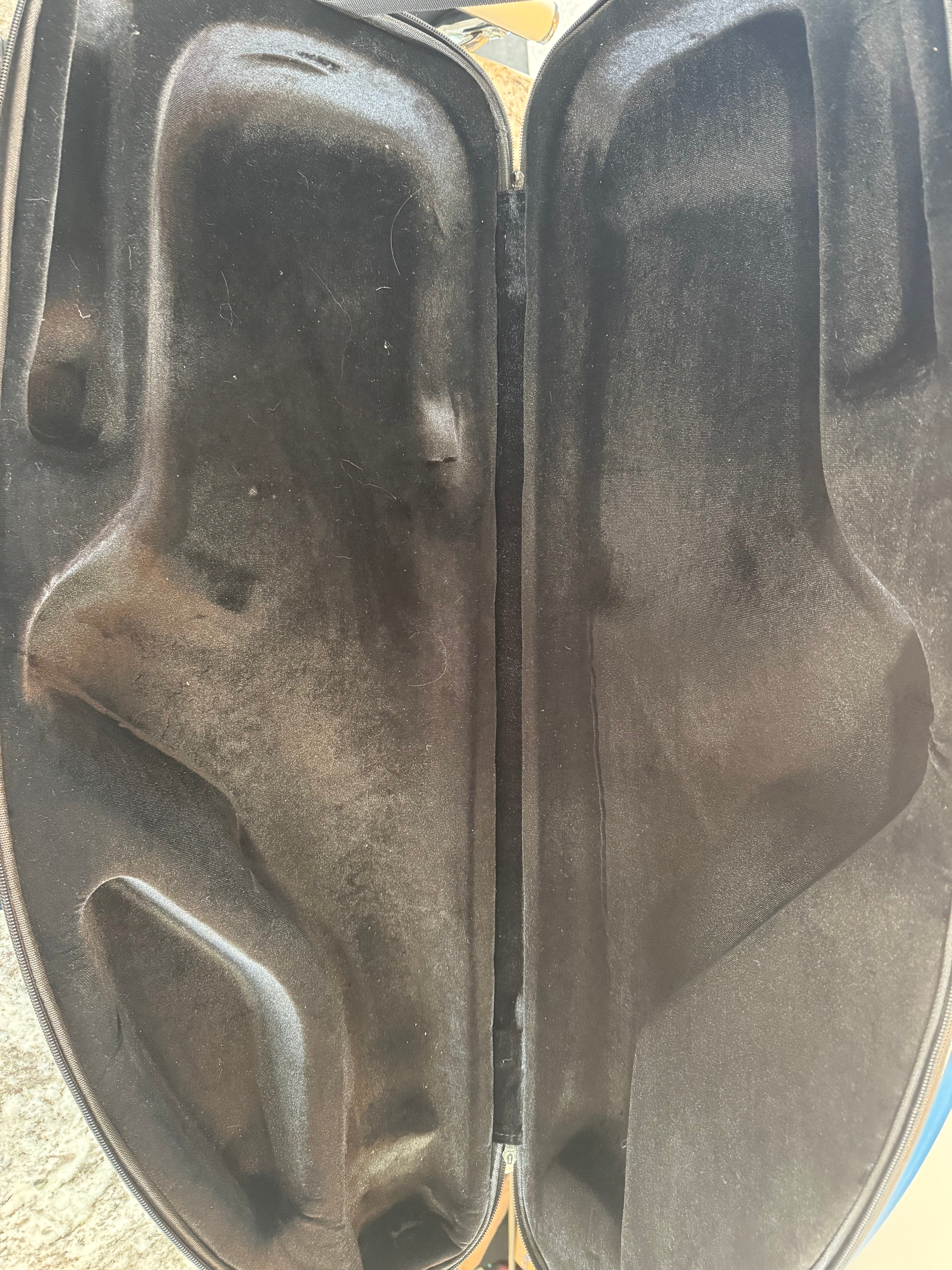 SHORE SAX Flight Case: Alto Saxophone