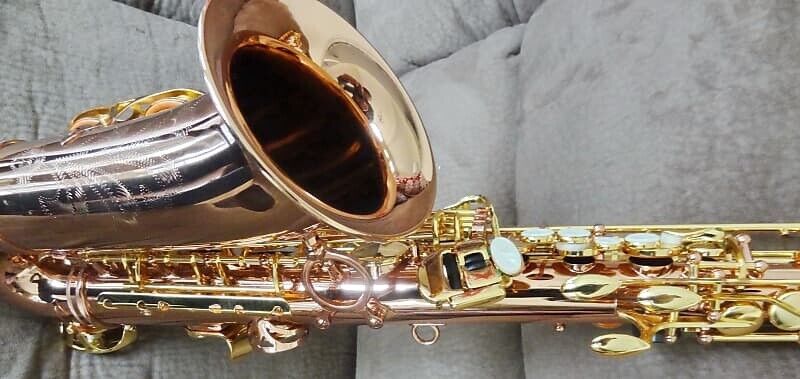 Monique Alto Saxophone (Selmer/Buffett Clone) Copper & Brass NOS!